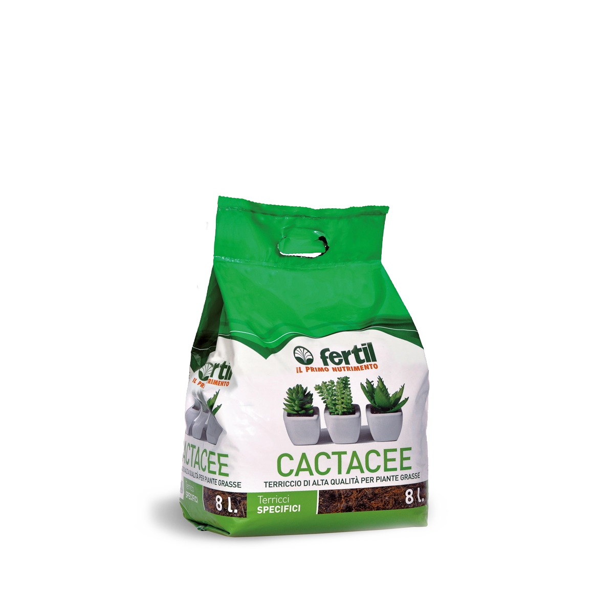 Cactacee