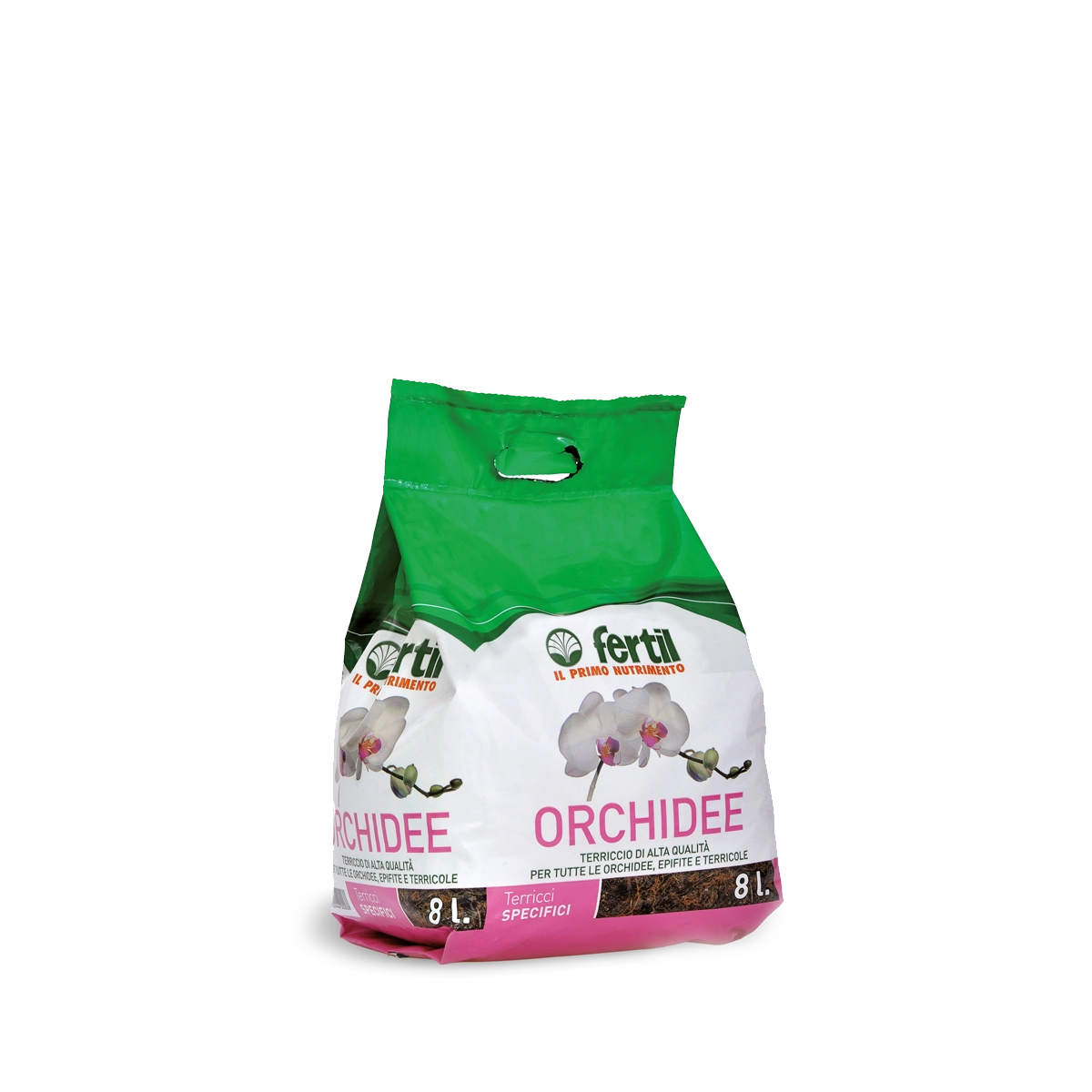 Orchidee