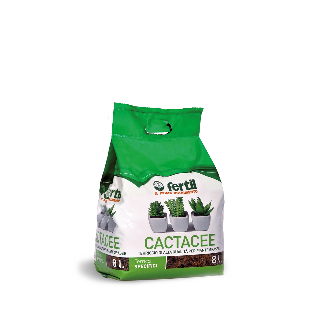 Cactacee