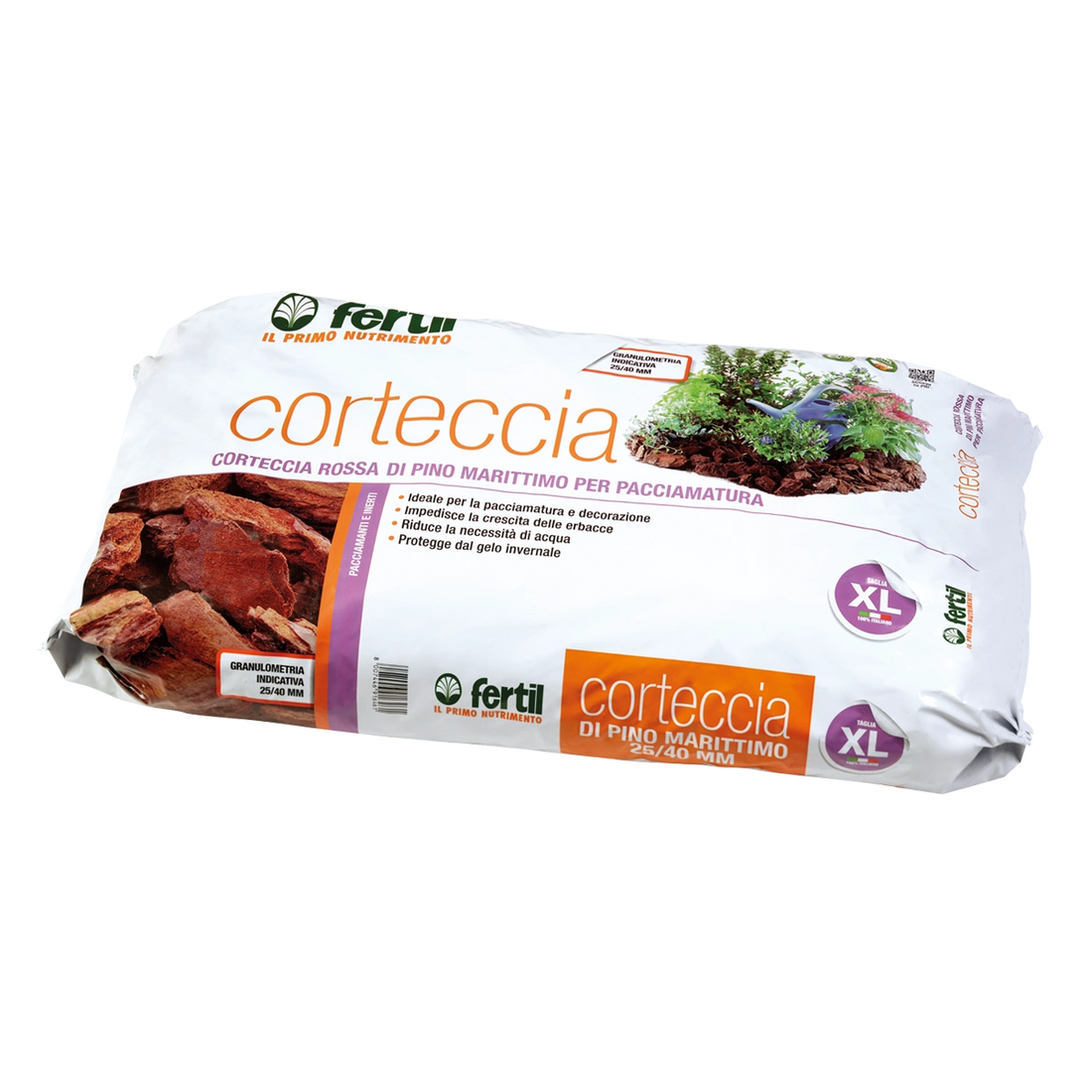 Corteccia