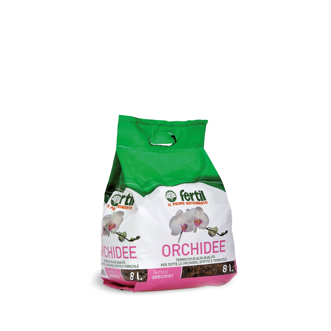 Orchidee